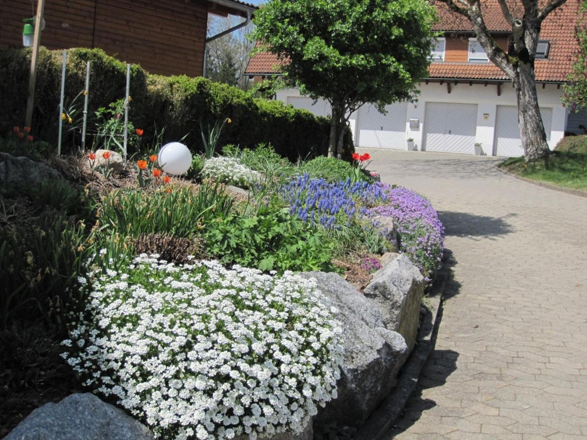 Guest house Haus Hilda Fechtig 3*